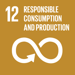 SDG 12: Responsible consumption and production